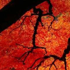 Not Africa by Toto(with Ethan)