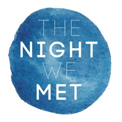 The Night We Met