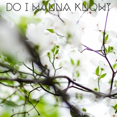 Do I Wanna Know