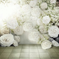 [Music Box Cover] Shane Filan - Beautiful In White