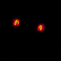 Lucid Dreaming (Prod. DiPulio)