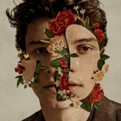 Shawn Mendes - Perfectly Wrong (Hunter Roberson Cover)