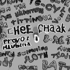 chee chaak 5/18