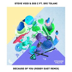 Steve Void & Big Z - Because Of You (Robby East Remix)🍉