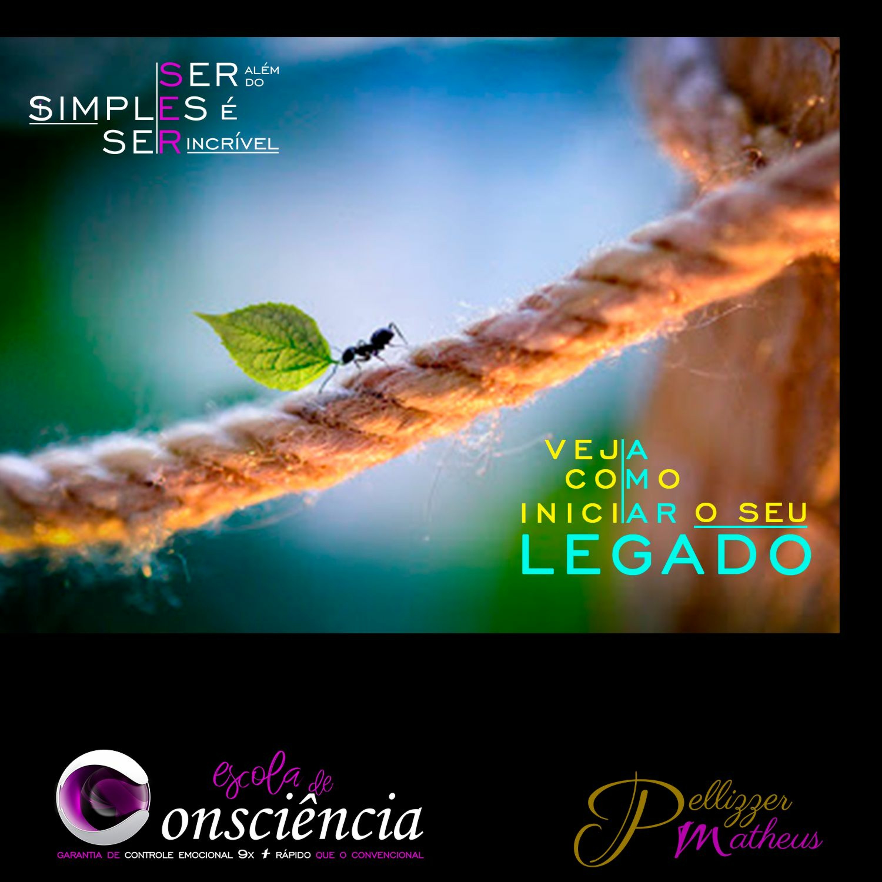 Academia de Excelência