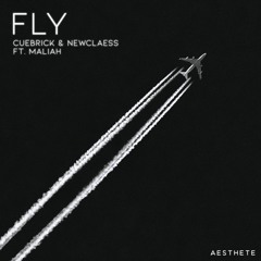 Cuebrick & Newclaess - FLY feat. Maliah