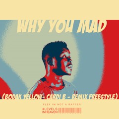 Why you mad? (Cardi B - Bodak Yellow- Freestyle Remix)
