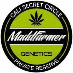 Episode 24 ft Mrs Madd Farmer of Madd Farmer Seeds