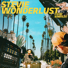 Crush - Stevie Wonderlust (With Band Wonderlust)