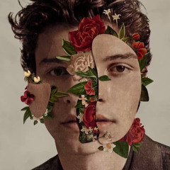 Shawn Mendes - When You're Ready (Instrumental Remake)