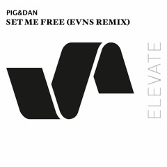 PIG&DAN - SET ME FREE (EVNS REMIX)**FREE DOWNLOAD**