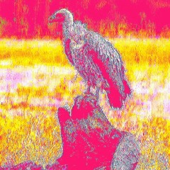 W e s t  C o a s t  G o t  I t  P o p p i n