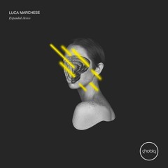 Luca Marchese - Acid Orchestra (Original Mix)