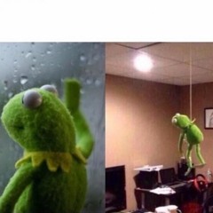 KERMIT SUICIDE