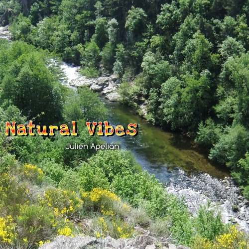 Natural Vibes