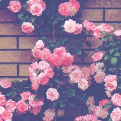summer beats