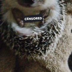 Osama ft. Yun chu -Like A Pimp