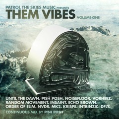 Pish Posh - Them Vibes Vol. 1 LP Continuous Mix