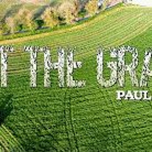 Cut The Grass - Paul Kelly