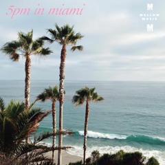 5PM In Miami