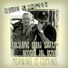 Sting & Shaggy "Morning is Coming" (Subatomic Sound System 1 drop remix)
