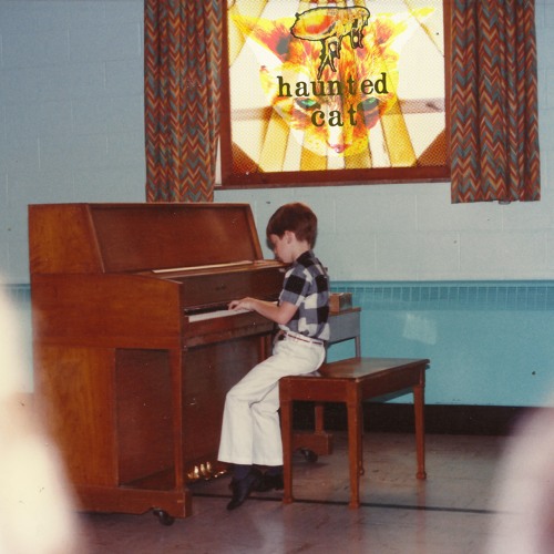 Stream Funeral For A Bird by Haunted Cat Listen online for free on