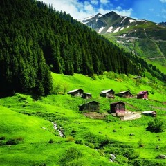 Ander Sevdaluk(Şevval Sam Cover)