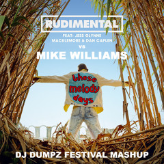 Rudimental vs Mike Williams - These Melody Days (DJ Dumpz Festival Mashup)