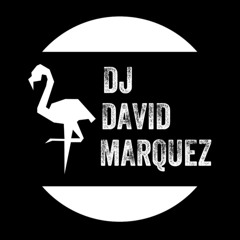 David Marquez Presents Flamingo Lingo 002