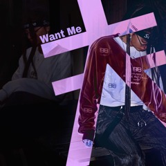 Want Me (ft. Maxzzle)