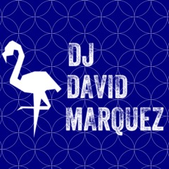 David Marquez Presents Flamingo Lingo 003