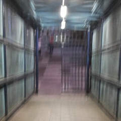 Alinhamento Paralelo INSTRUMENTAL