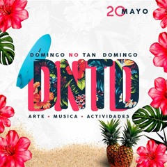 DOMINGO NO TAN DOMINGO (Hawaiian Edition)