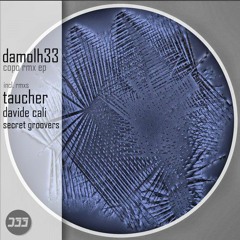 Damolh33 Copo Taucher  Remix