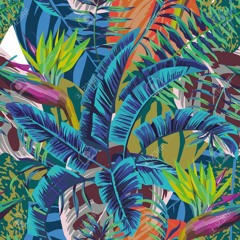 backyard jungle 2018 | collingwood, australia