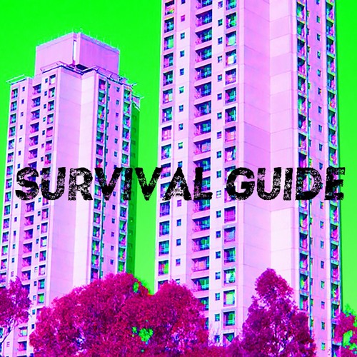 SURVIVAL GUIDE #2: Walung