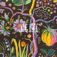 b l u e s c r e e n - Hyaline