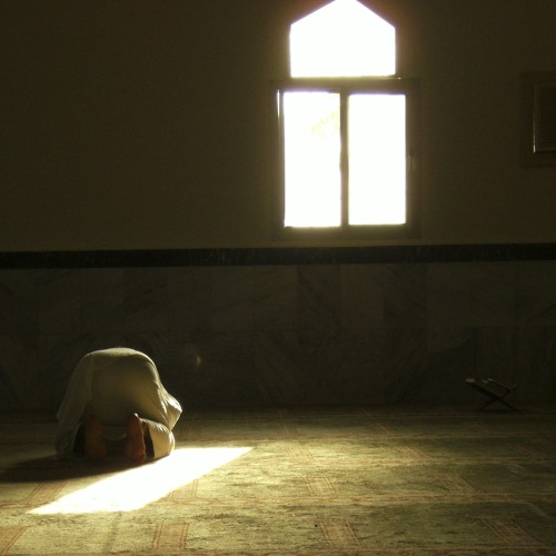 جميل يحب الجمال | معتصم الشامي