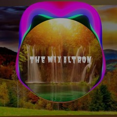 The Steve Aoki Mix (Rage The Night Away [feat. Waka Flocka Flame] | The Mix Altron|