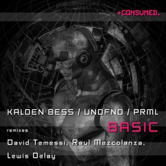 PREMIERE : Kalden Bess, UNDFND, PRML - Basic (David Temessi Remix)  // Consumed Music
