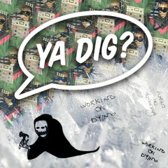 YA DIG?