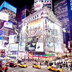 Sam Zabee Musicals Of Broadway
