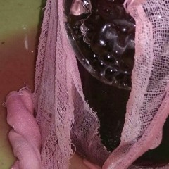 TR273598583