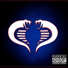 01 Cobra Got The Beat