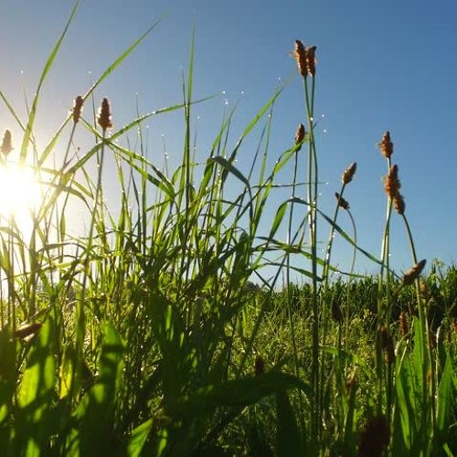 will you still love me?