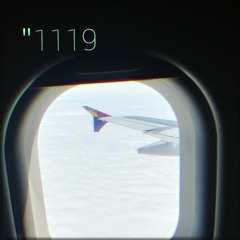 "1119
