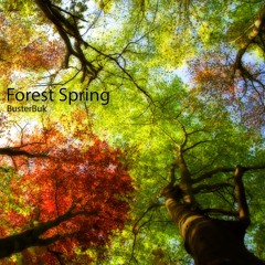 Forest Spring