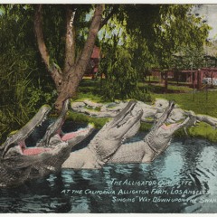 Gabriel Deibel - Tell Me Why (Cover) {CASSETTE RECORDING}