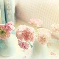 سورة ق القارئ محمود عمرو ابو عبد الملك