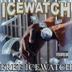 ICEWATCH - BLUE NOTES